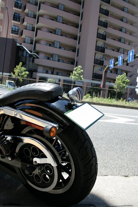 バードケージ x ダイナローライダー - TT&CO. ブログ｜ヘルメット専門 